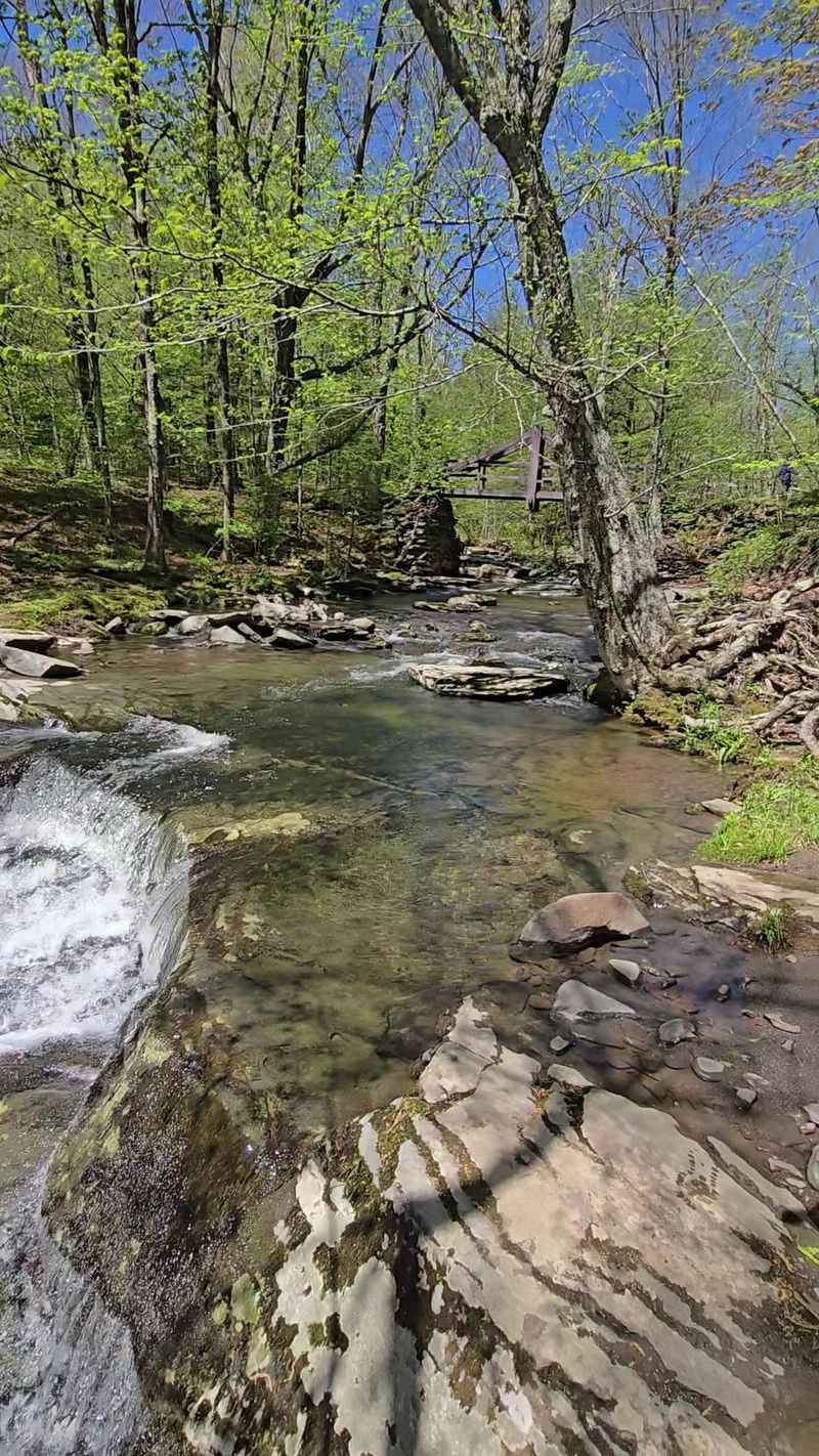 The Preserve Itself Is The Real Treasure
