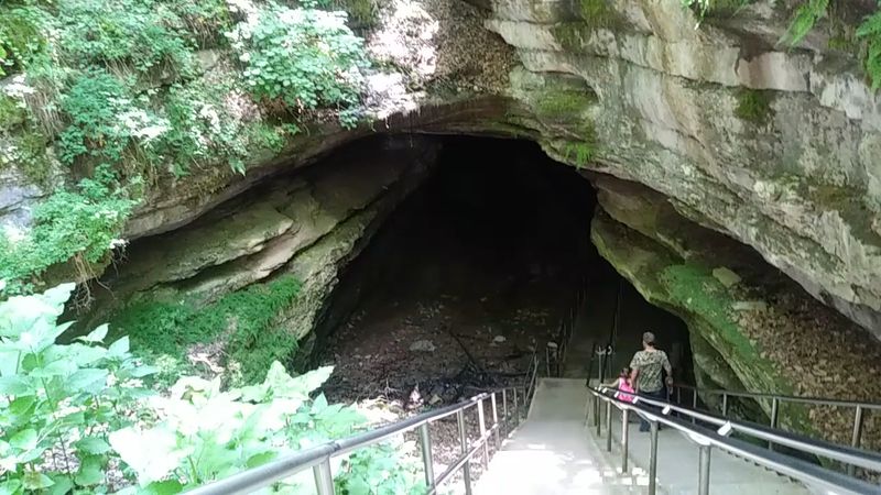 Scientists Keep Finding Ancient Sharks Inside Kentucky's Most Famous Cave - Decor Hint Troglocladodus Trimblei, A Species Named For The Cave