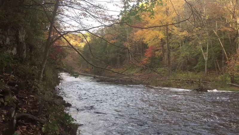 River Views Along The Way