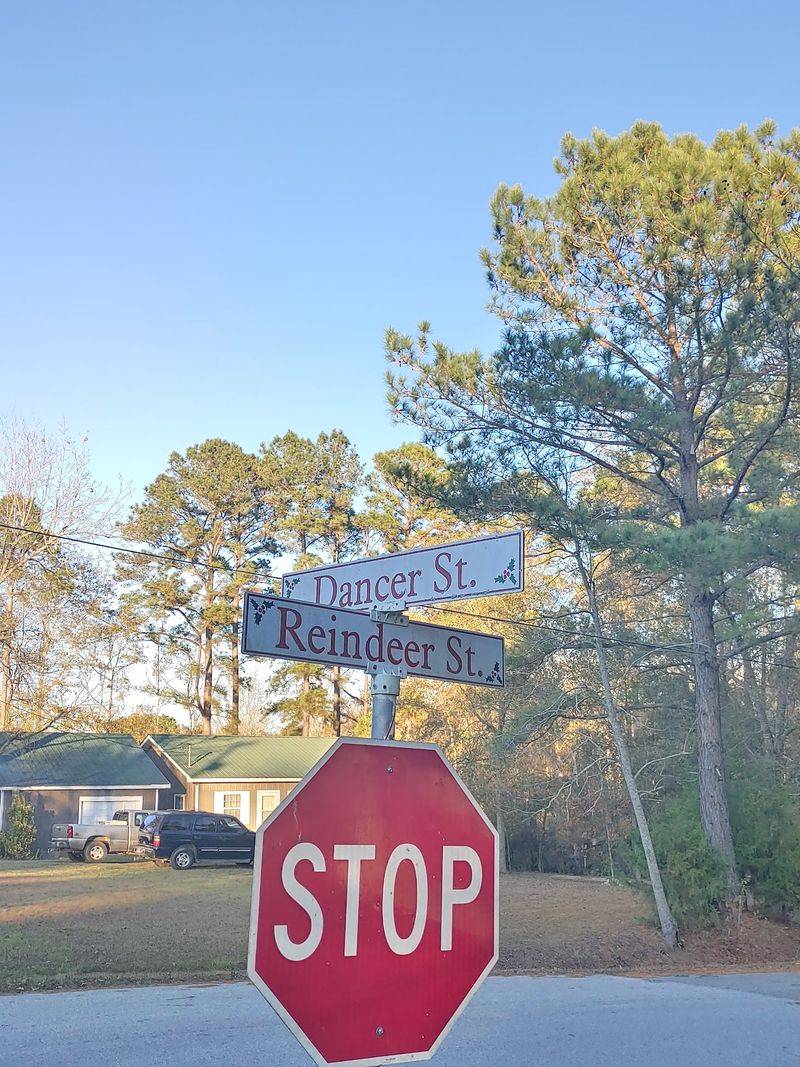 This Little Georgia Town May Have The Funniest Name In The State - Decor Hint Street Signs That Read Like A Holiday Song