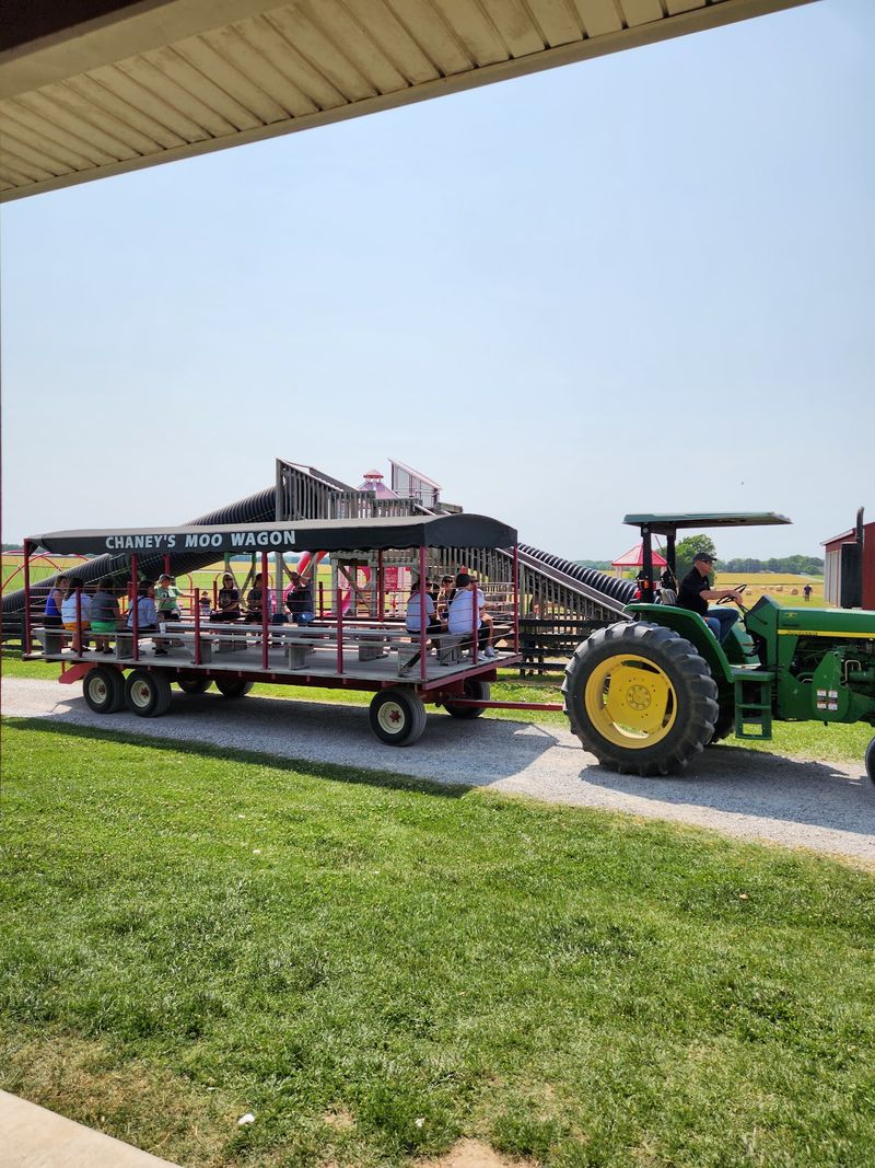 Farm Tours That Teach Something