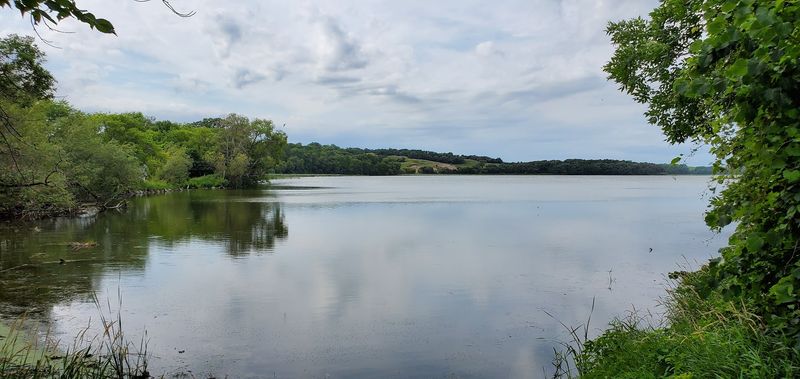 Nine Lakes In Four Miles Near Alexandria