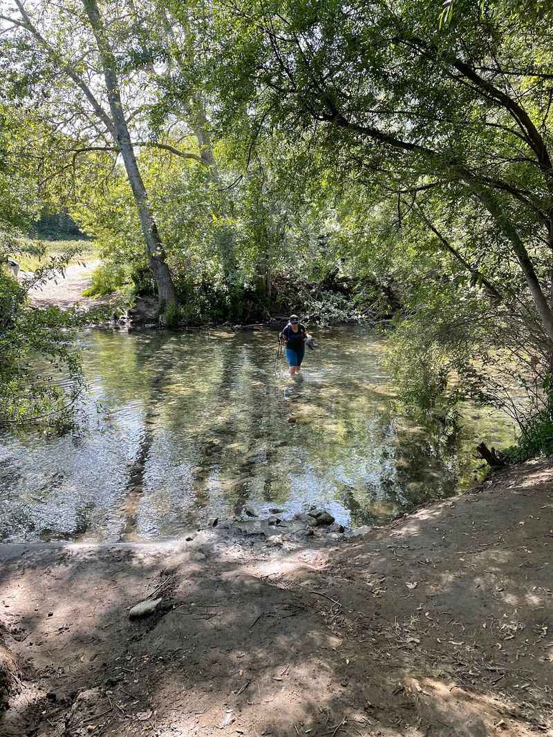 This Easy 2-Mile California Trail Leads Straight To The Ocean And September Is The Perfect Time To Go - Decor Hint September Falls Inside Footbridge Season