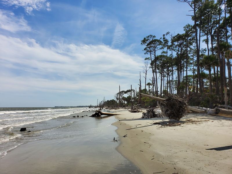 Hunting Grounds Turned Public Treasure