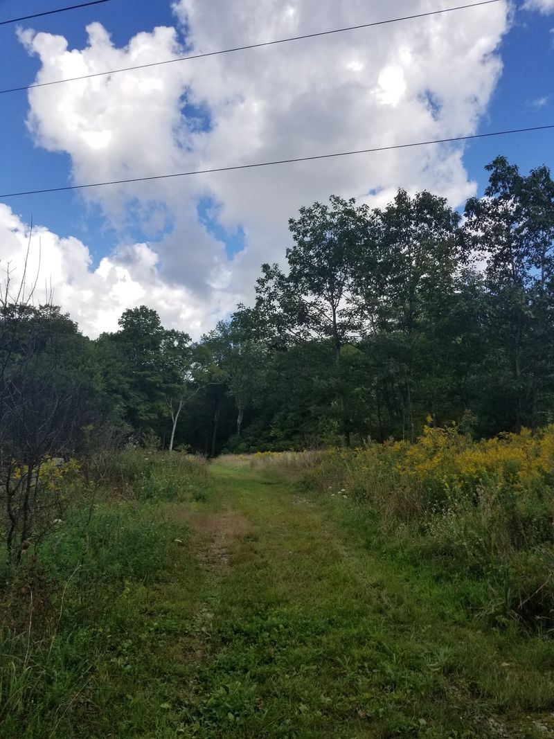 Quiet Roads Lined With Scenic Beauty