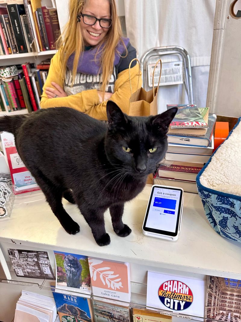 Meet The Cat Who Really Runs This Store
