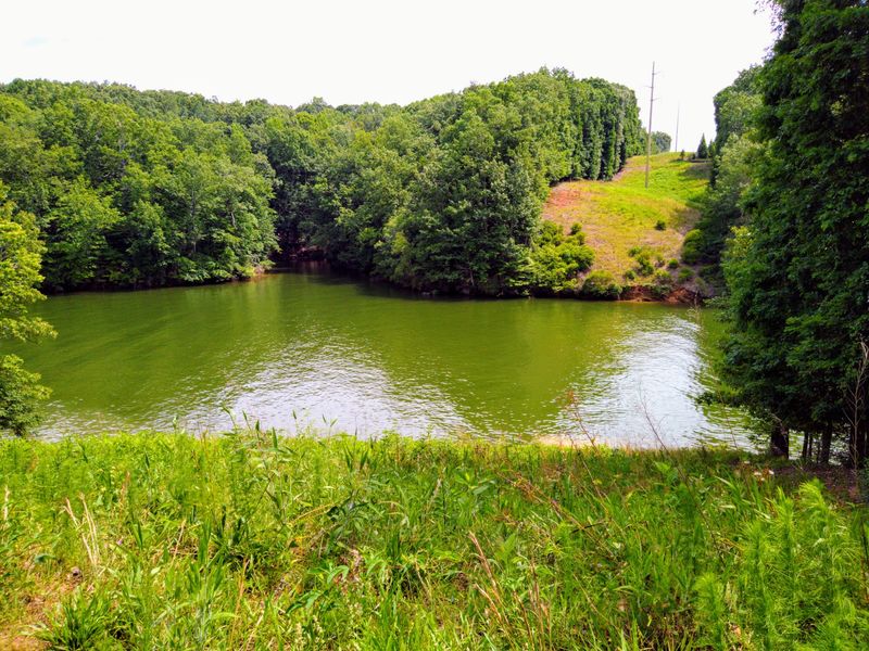 Why This Trail Deserves A Spot On Your Weekend Plans