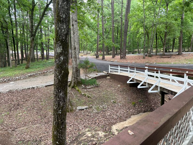 The Stunning Alabama State Park That Looks Like Something Out Of A Storybook - Decor Hint Trails That Feel Older Than The Map