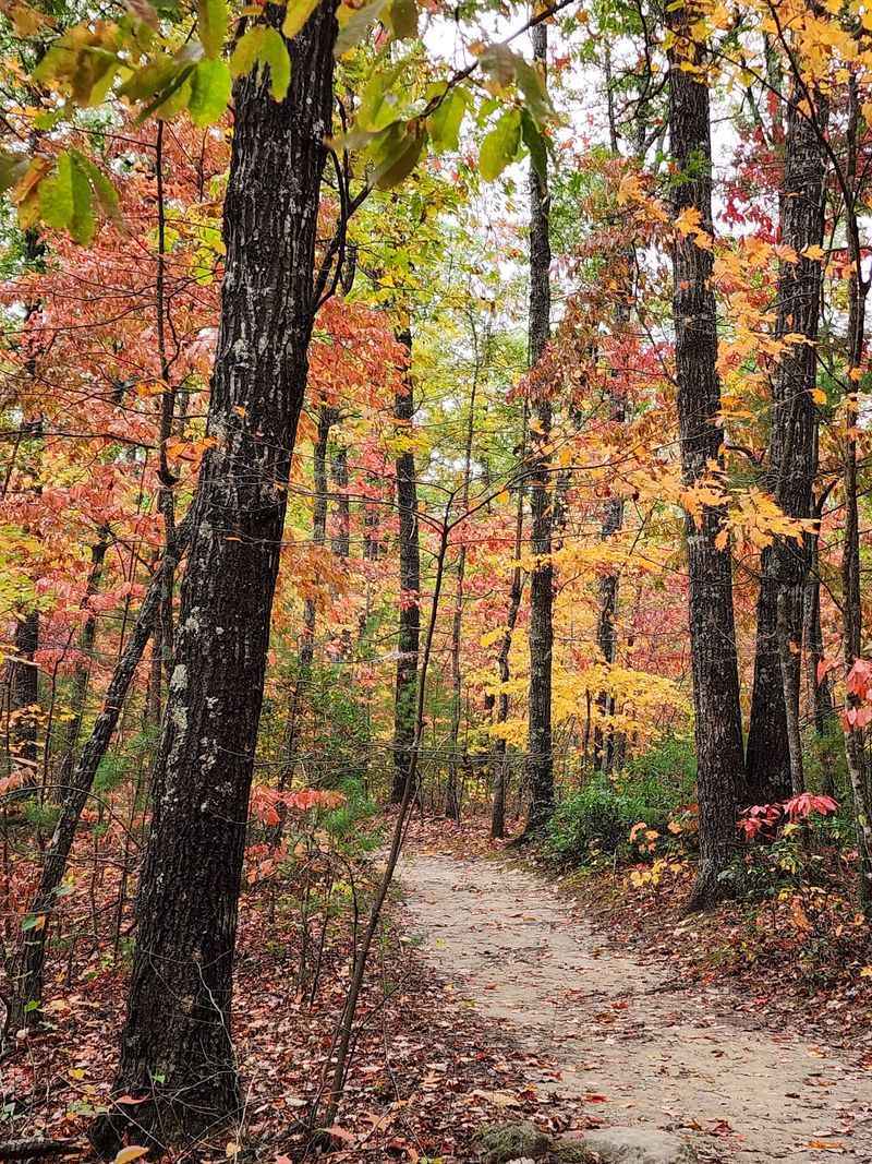 Where Daniel Boone's Trail Still Runs