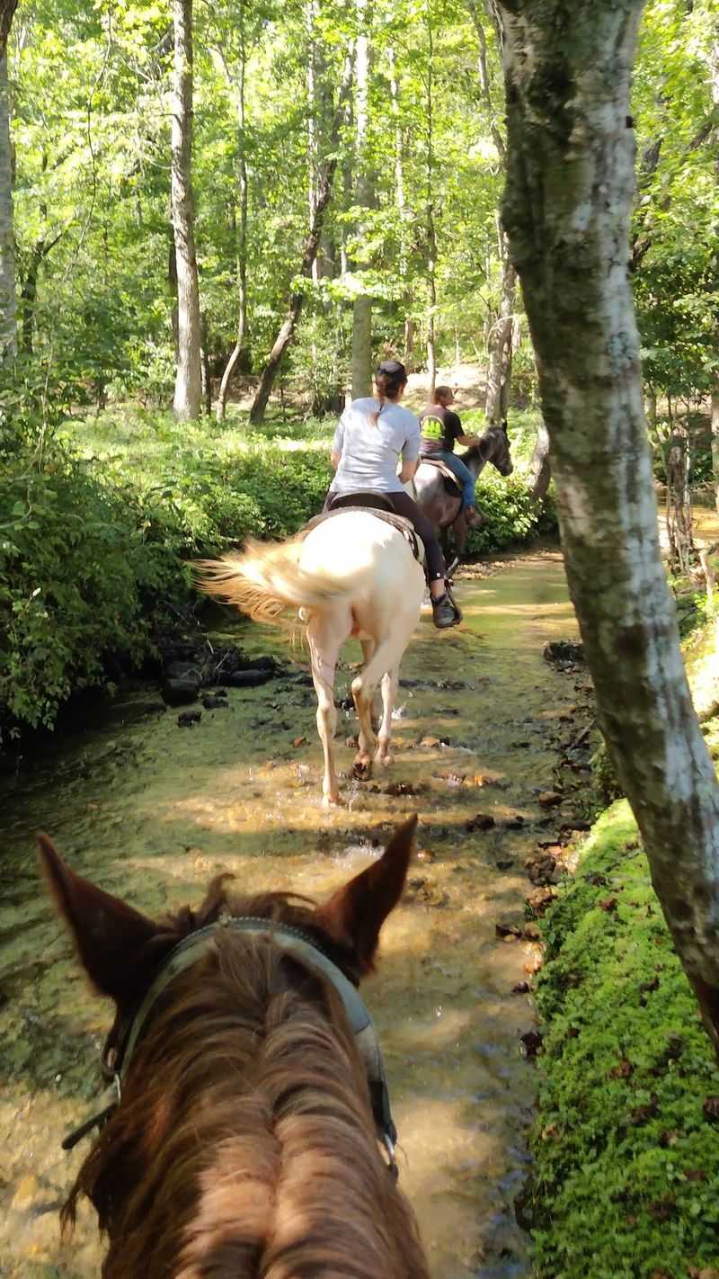 The One-Hour Creekside Explorer For First Timers