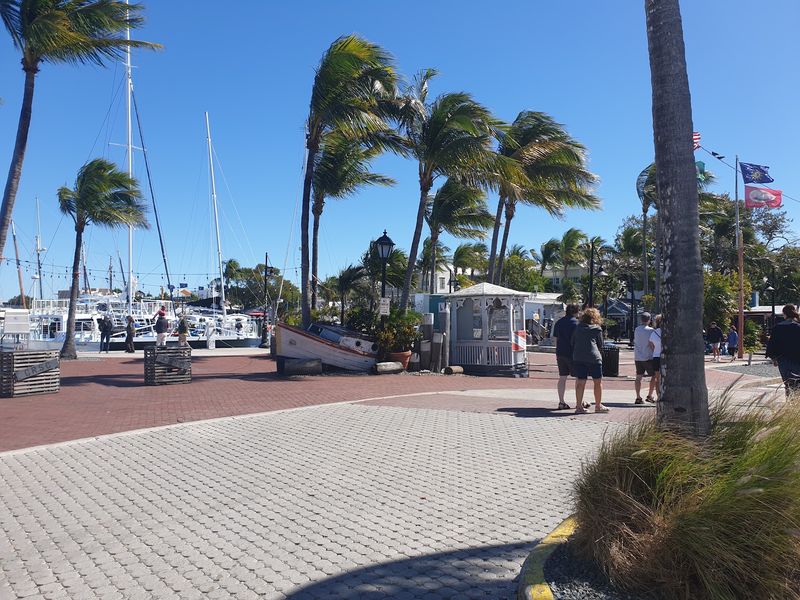 10 Scenic Florida Road Trips That Capture The Best Of The Sunshine State - Decor Hint Overseas Highway, Key Largo To Key West