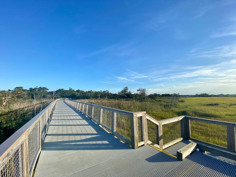 Forget The Beach For A Day And Explore These 8 Delaware Trails Instead - Decor Hint Gordons Pond Trail, Lewes