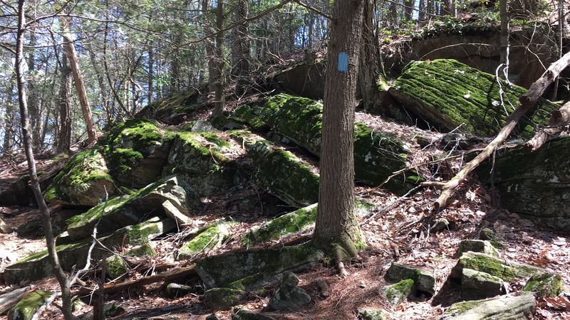 Blue Blazes Lead Into Rocky Terrain