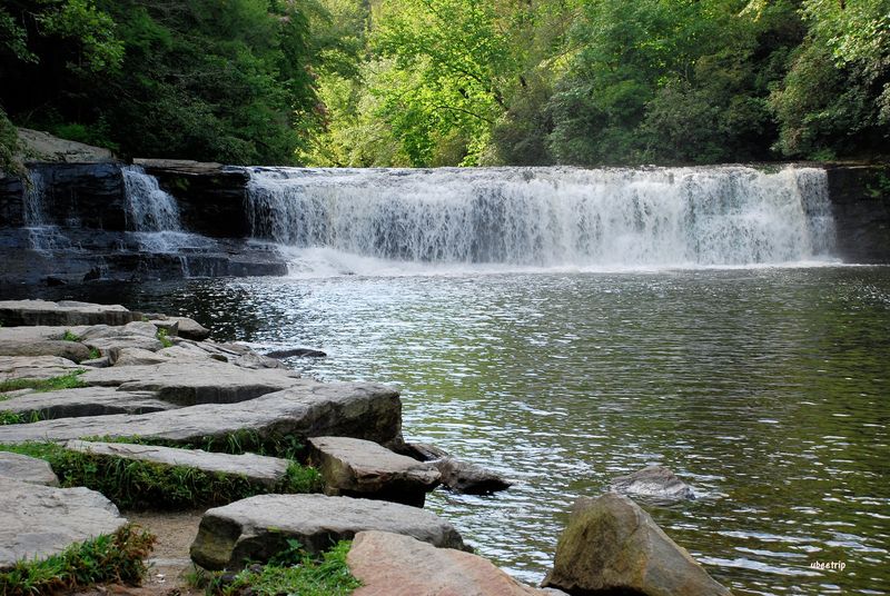 End The Day With One Last Swim Beneath The Forest Canopy