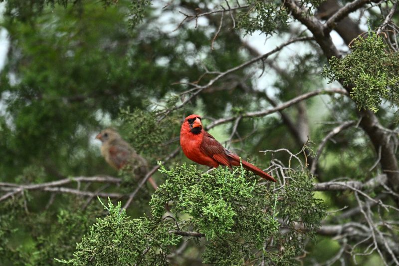 Outdoor Recreation And Nature Trails