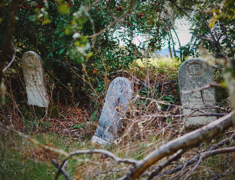 Adelaida Cemetery, near Paso Robles