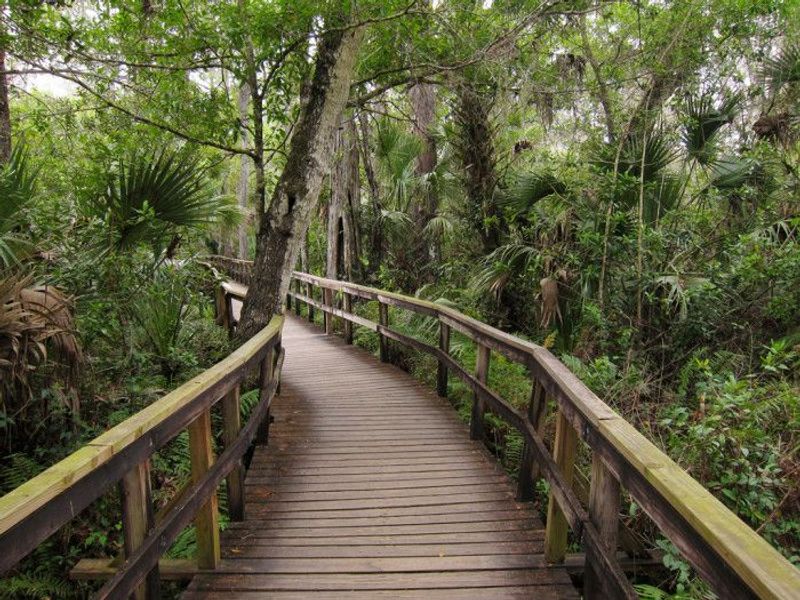 Hugh Taylor Birch State Park Trails, Fort Lauderdale