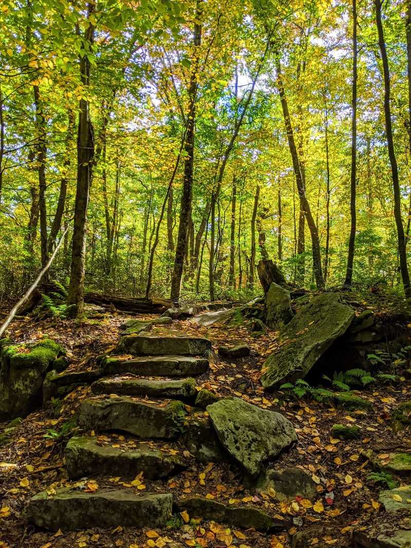 Laurel Ridge State Park, Rockwood