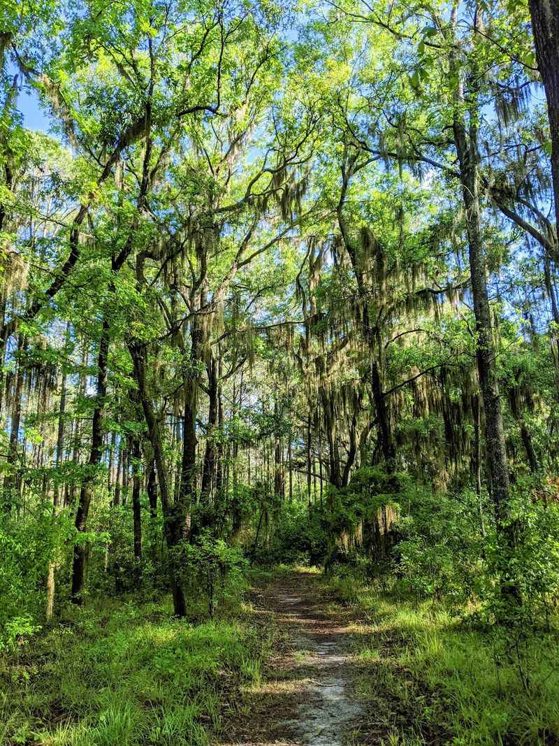More Than 20 Miles Of Trails For Hikers And Bikers
