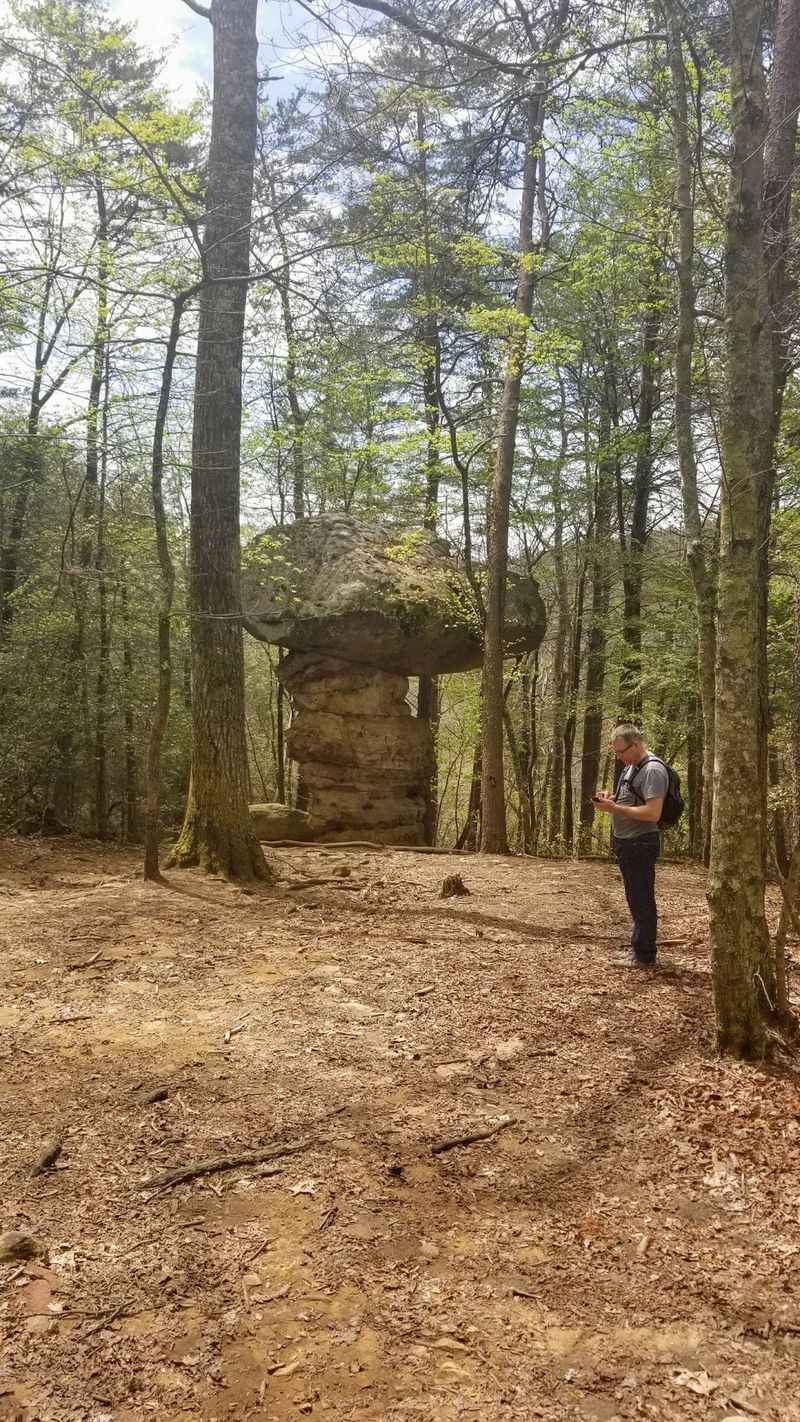 Mushroom Rock, Signal Mountain