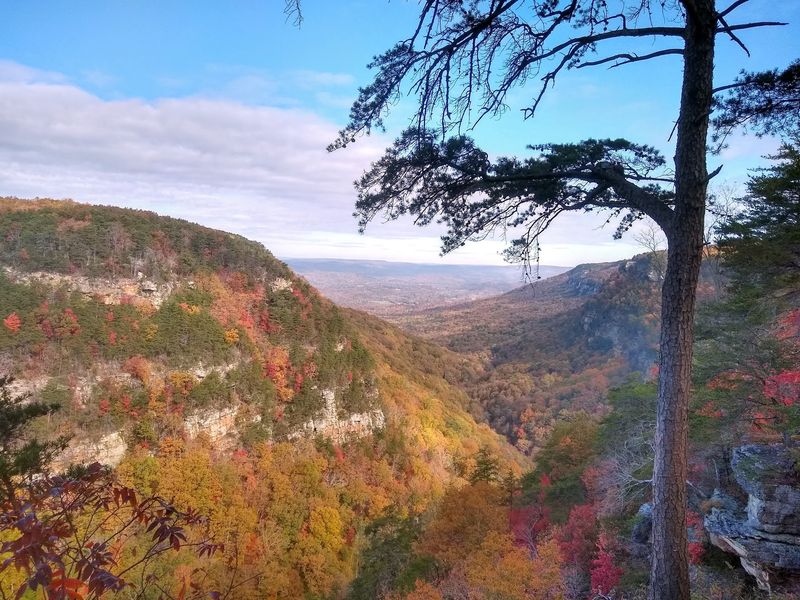 Cloudland Canyon State Park, Rising Fawn