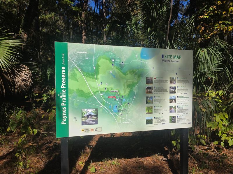 Paynes Prairie Preserve State Park, Micanopy