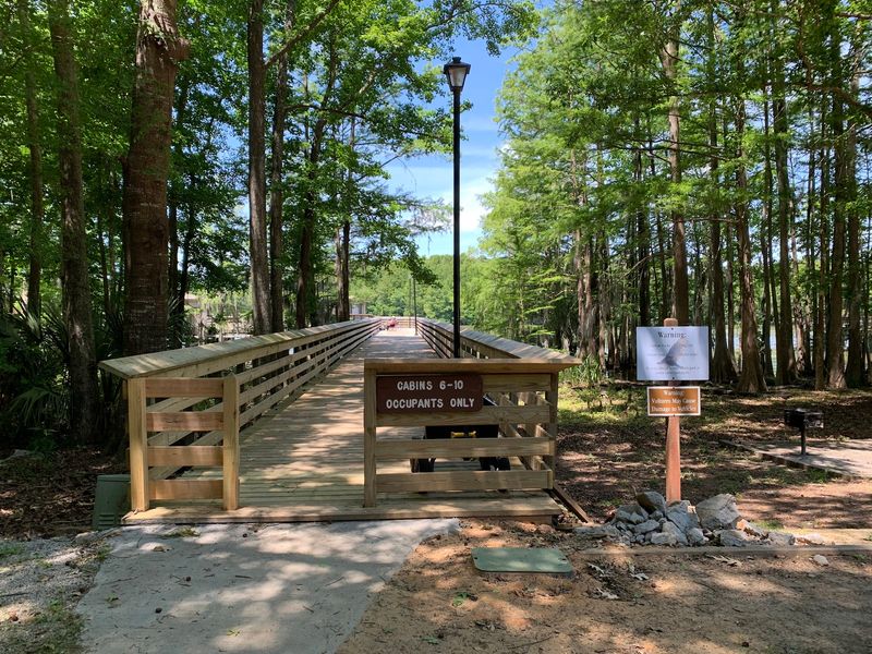 Deer, Alligators And Bald Eagles