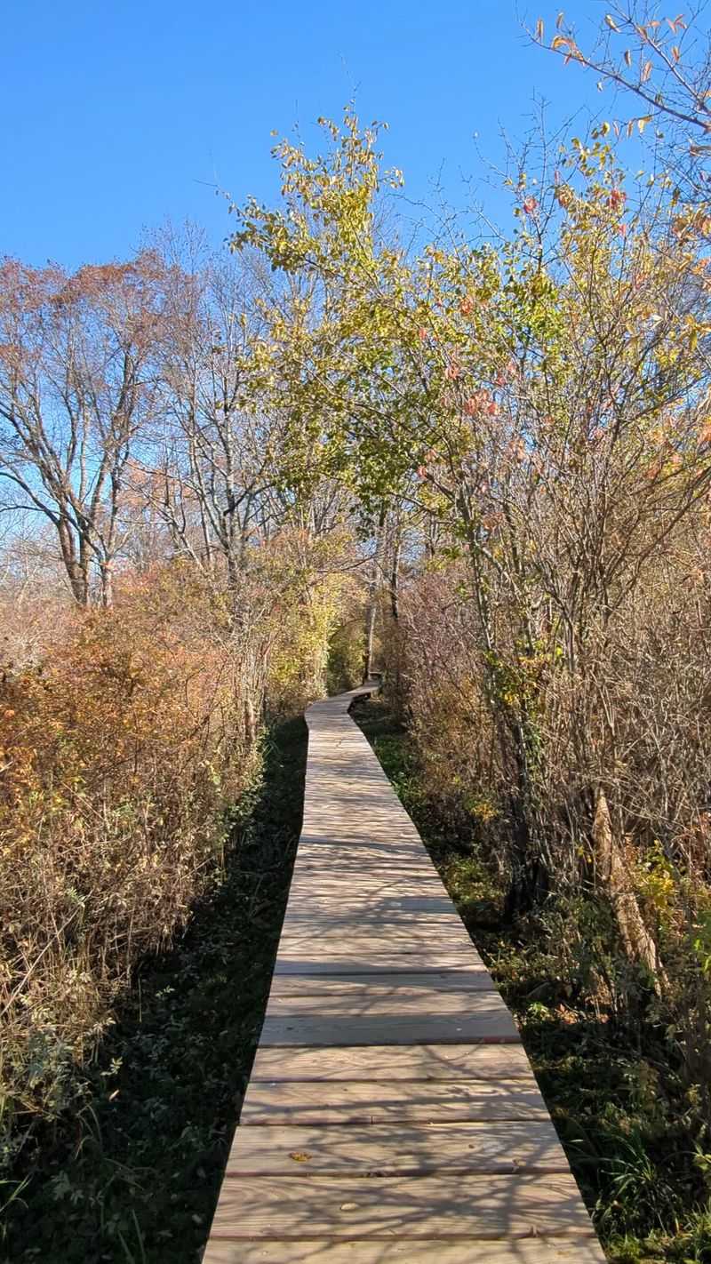Trail Of The Senses/Braille Trail At White Memorial Conservation Center, Litchfield