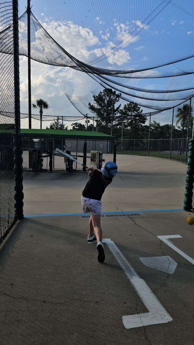 Swing Away At The Cages