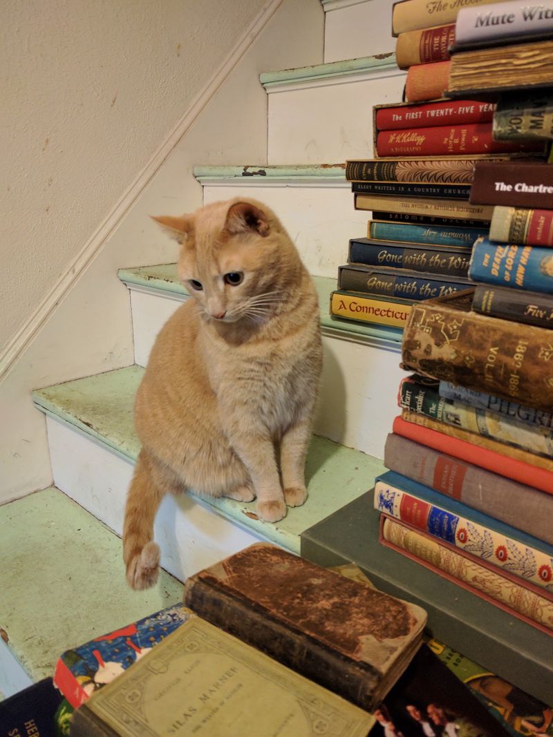 Two Brothers Books, Freeport