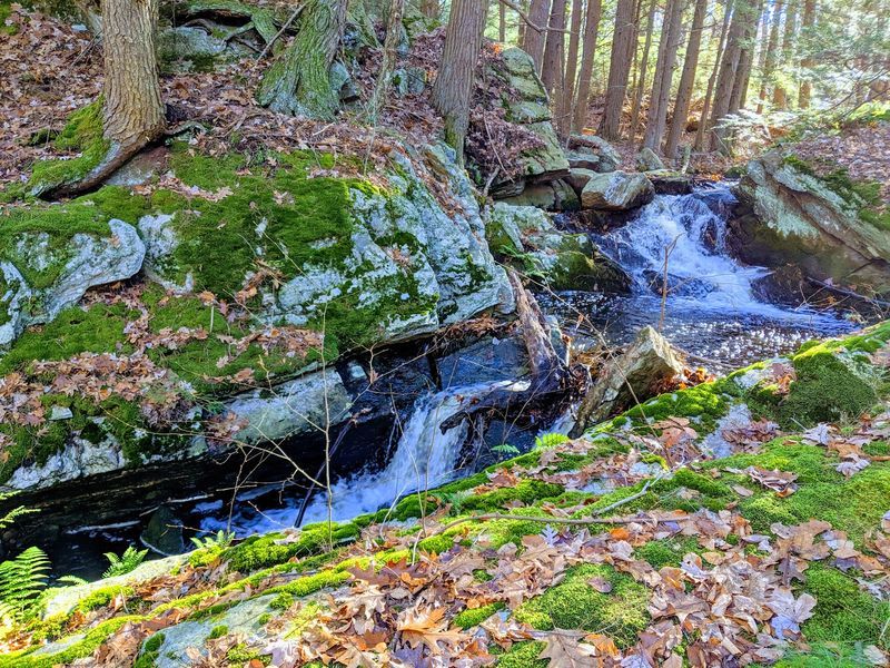 Nipmuck Trail At Nipmuck State Forest, Union