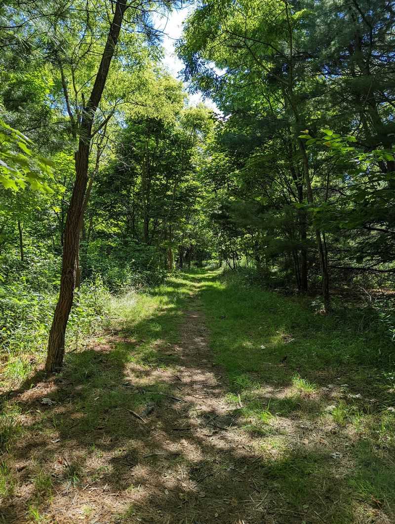 Laurel Highlands Hiking Trailhead, Stewart Township