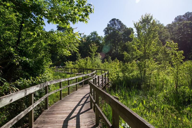 Newman Wetlands Center, Hampton
