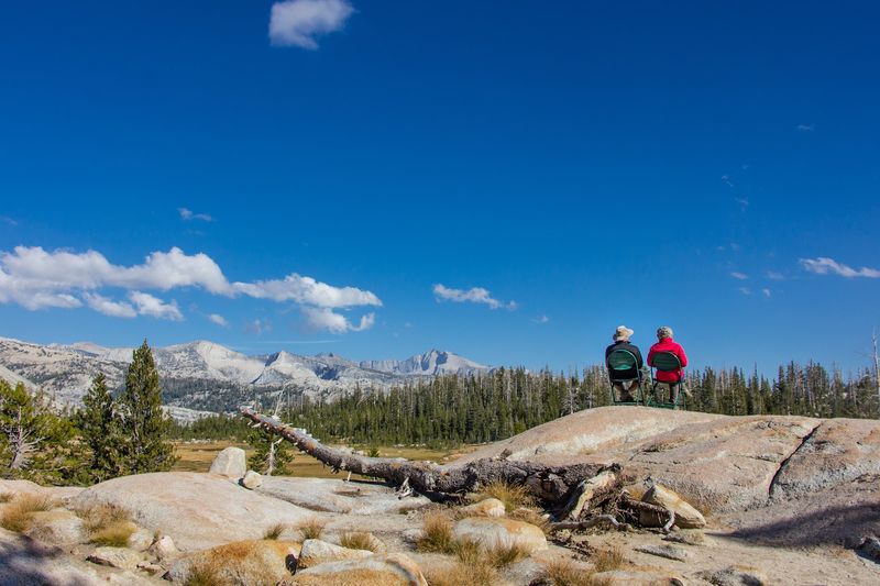 Yosemite And The High Sierra
