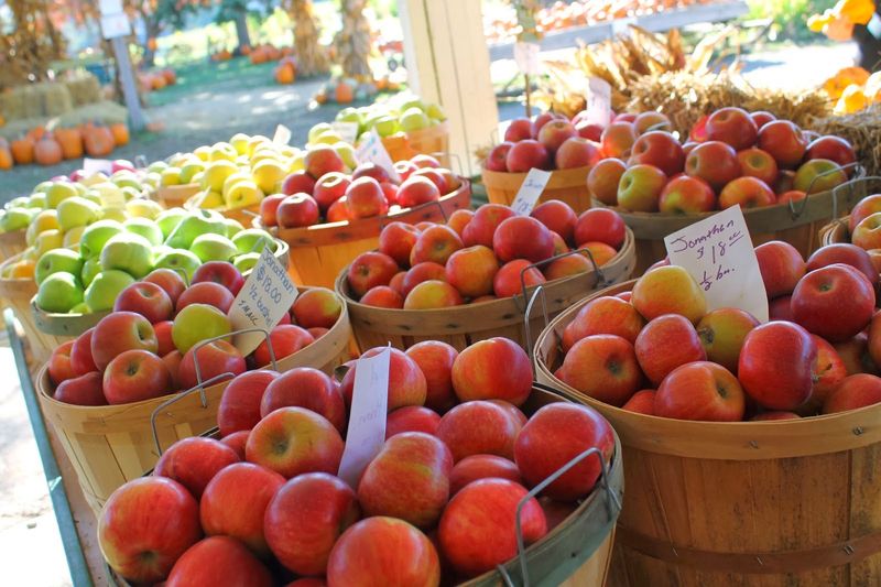 McGlasson Farms