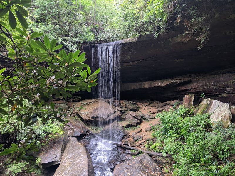 Vanhook Falls Trailhead, London