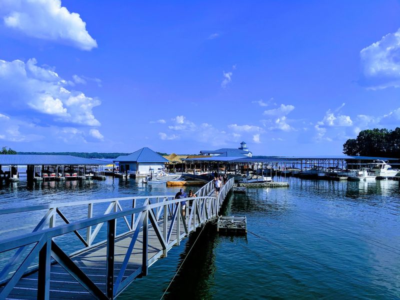 Port Royale Marina, Gainesville