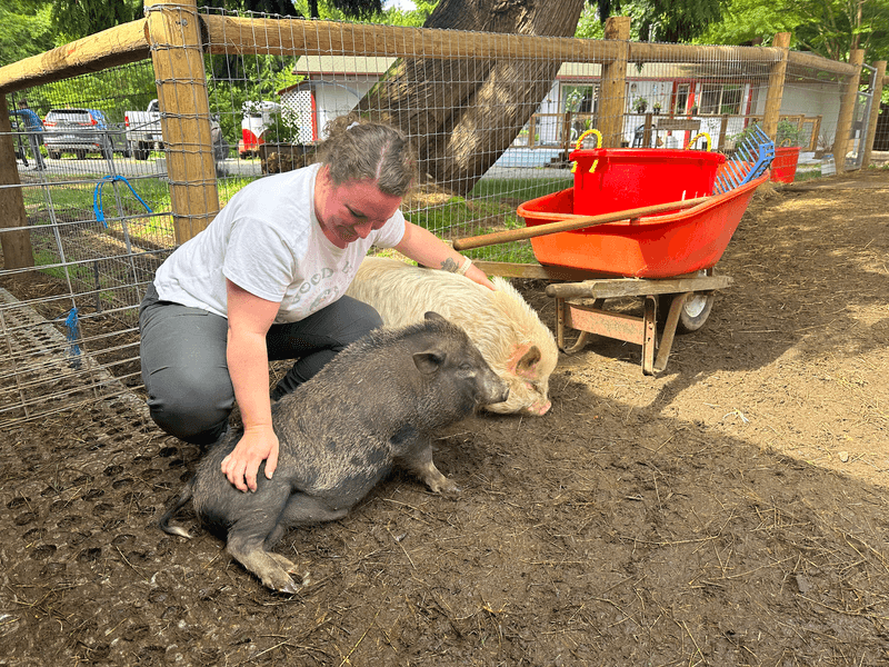 Rewild Refuge Farm Sanctuary, Kingston