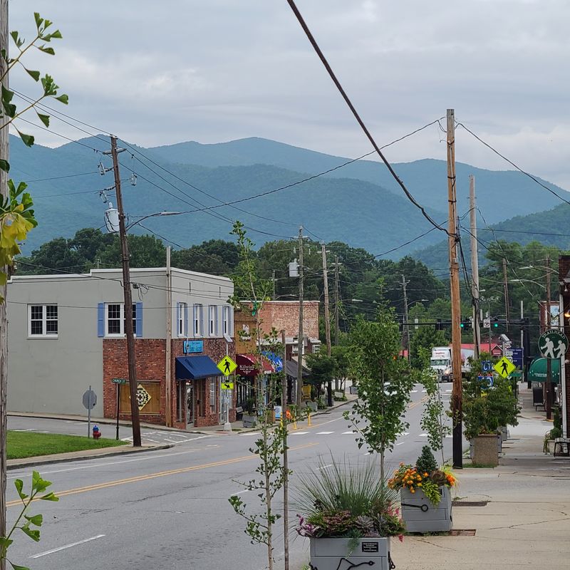 Black Mountain's Artistic Spirit and Culinary Delights