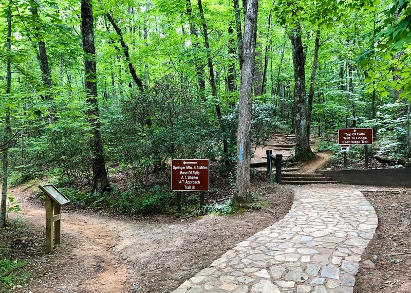 Amicalola Falls - Tumbling Waters And Trail Beginnings