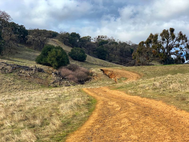 Ridgeline Trail, Pleasanton Ridge Regional Park, Pleasanton
