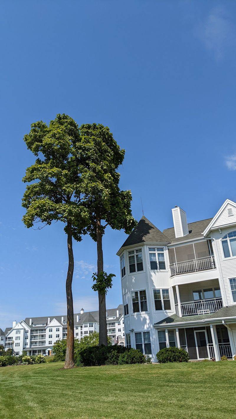 You’re Missing Out On These 10 Underrated Wisconsin Towns - Decor Hint Elkhart Lake