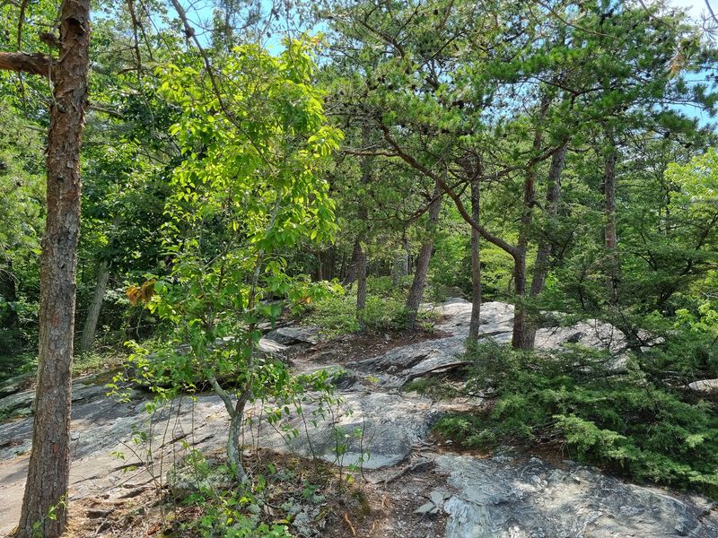 Hidden Falls And Window Falls