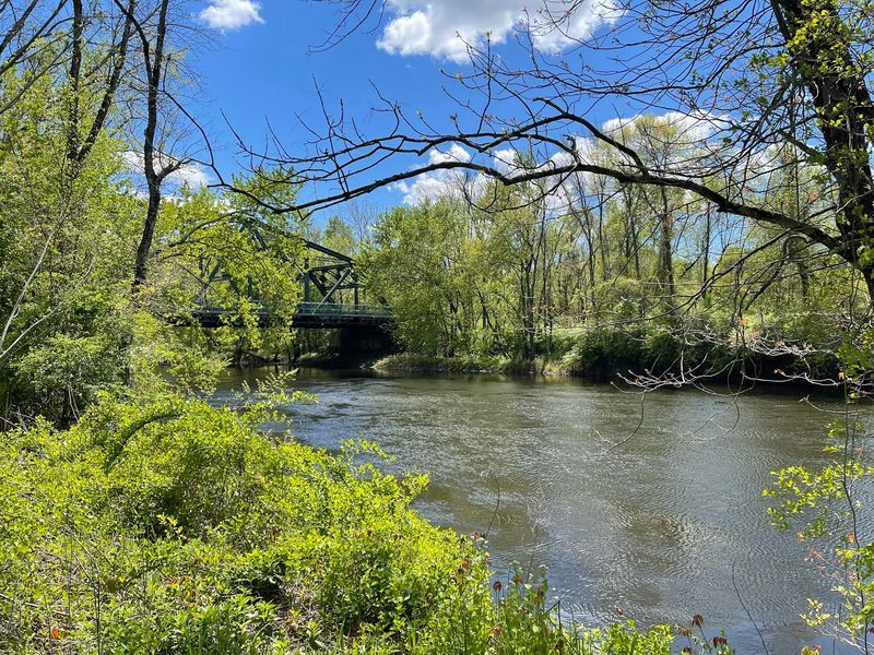 Spring And Summer Bring More Activity