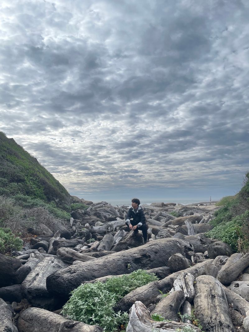 This Easy 2-Mile California Trail Leads Straight To The Ocean And September Is The Perfect Time To Go - Decor Hint Nearly 5,000 Acres Of Undeveloped Coast Range