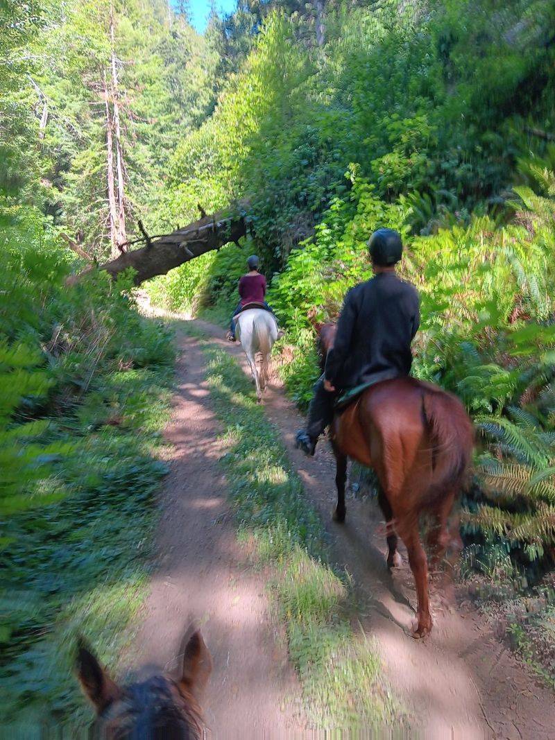 The Horses Are Matched To Each Rider