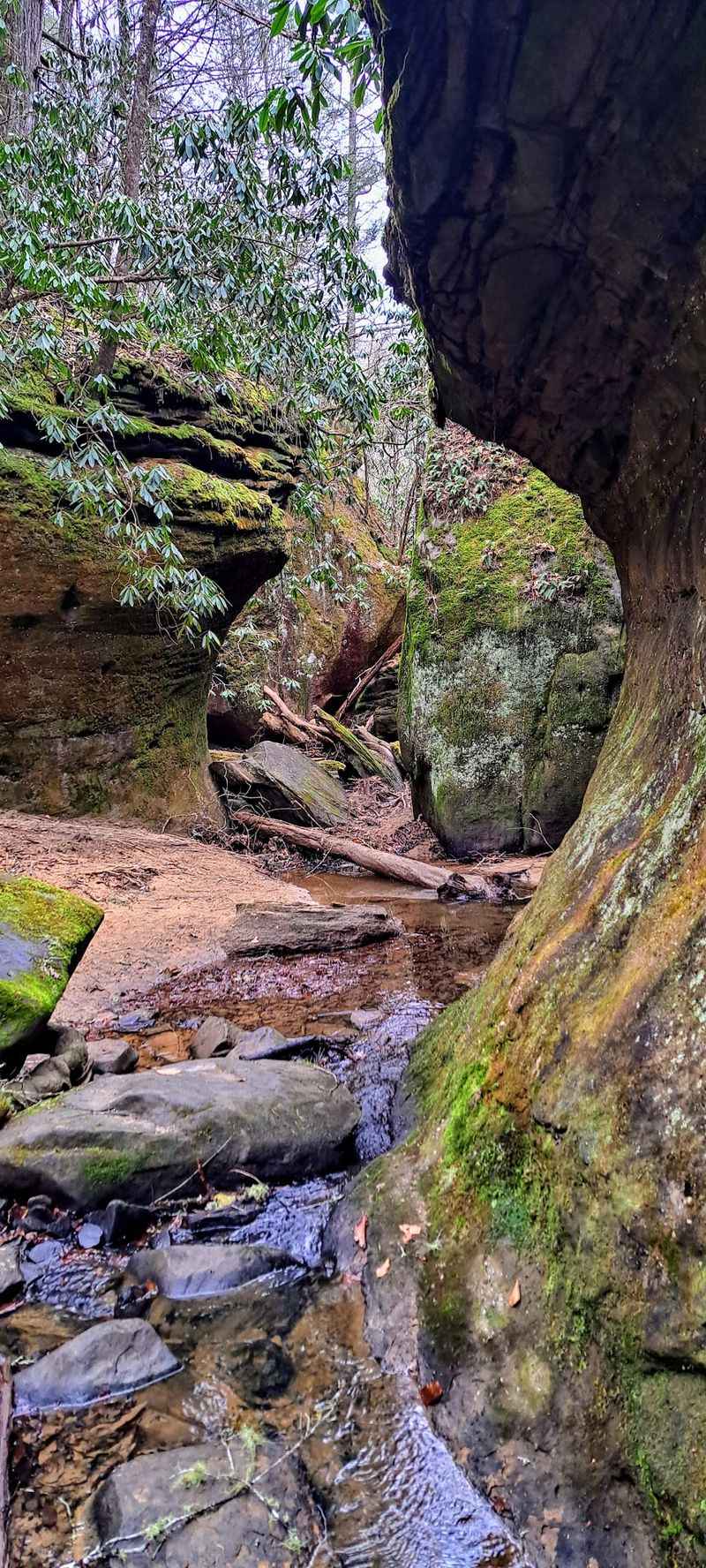 One Kentucky Waterfall Has A Frightening Name And An Ideal Swimming Hole - Decor Hint Camping Right Beside The Water