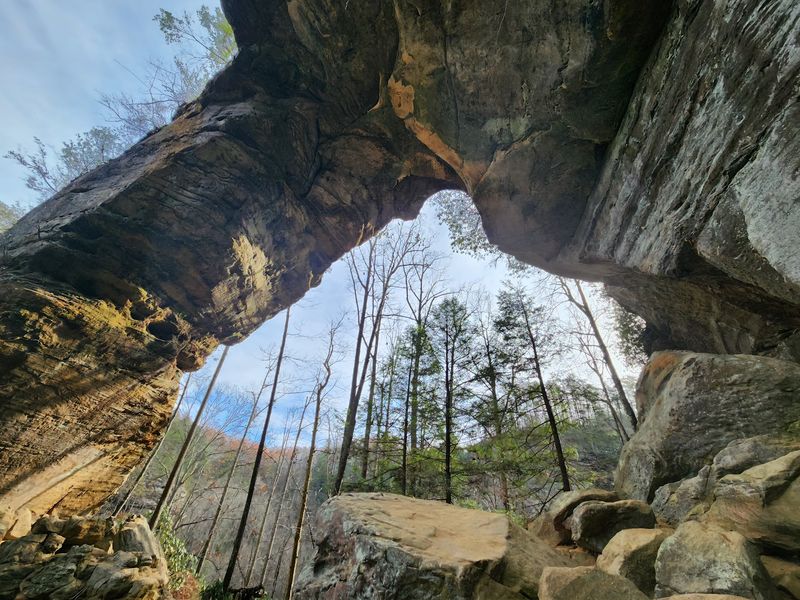 Why The Arch Exists