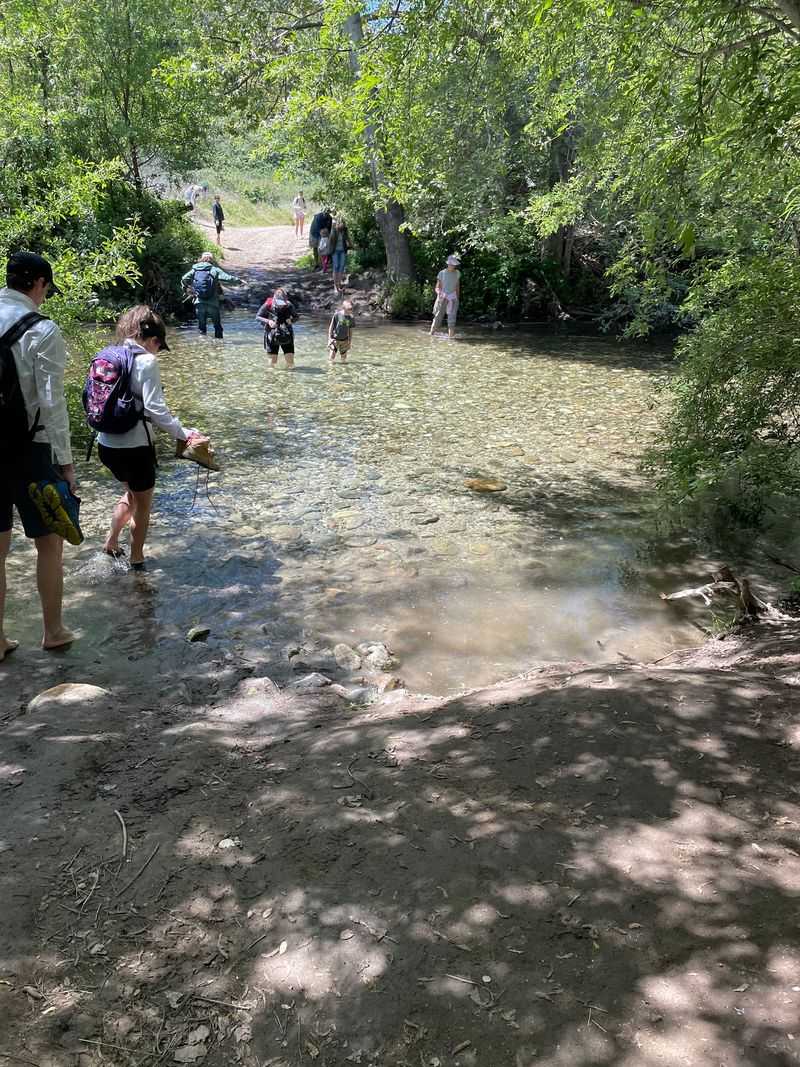 This Easy 2-Mile California Trail Leads Straight To The Ocean And September Is The Perfect Time To Go - Decor Hint Beautiful Water, But Not A Swimming Spot