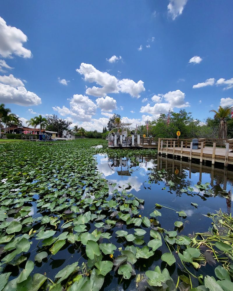 10 Scenic Florida Road Trips That Capture The Best Of The Sunshine State - Decor Hint Tamiami Trail (US-41), Miami To Naples Through The Everglades
